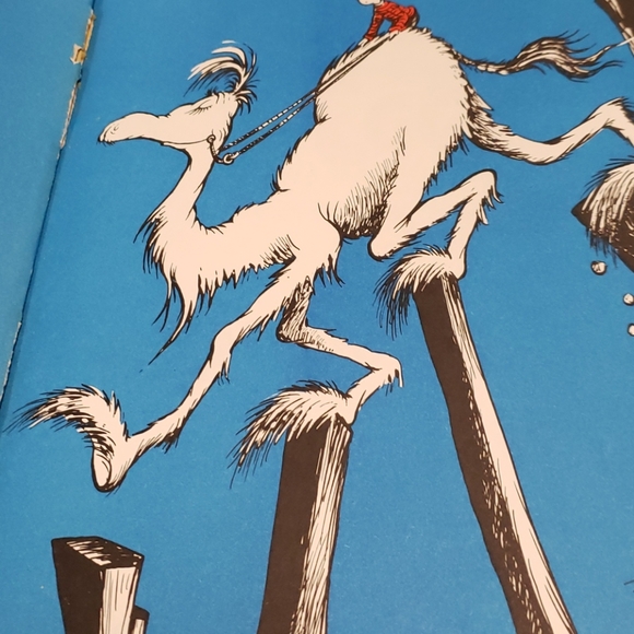 Dr Seuss Book - Picture 3 of 4